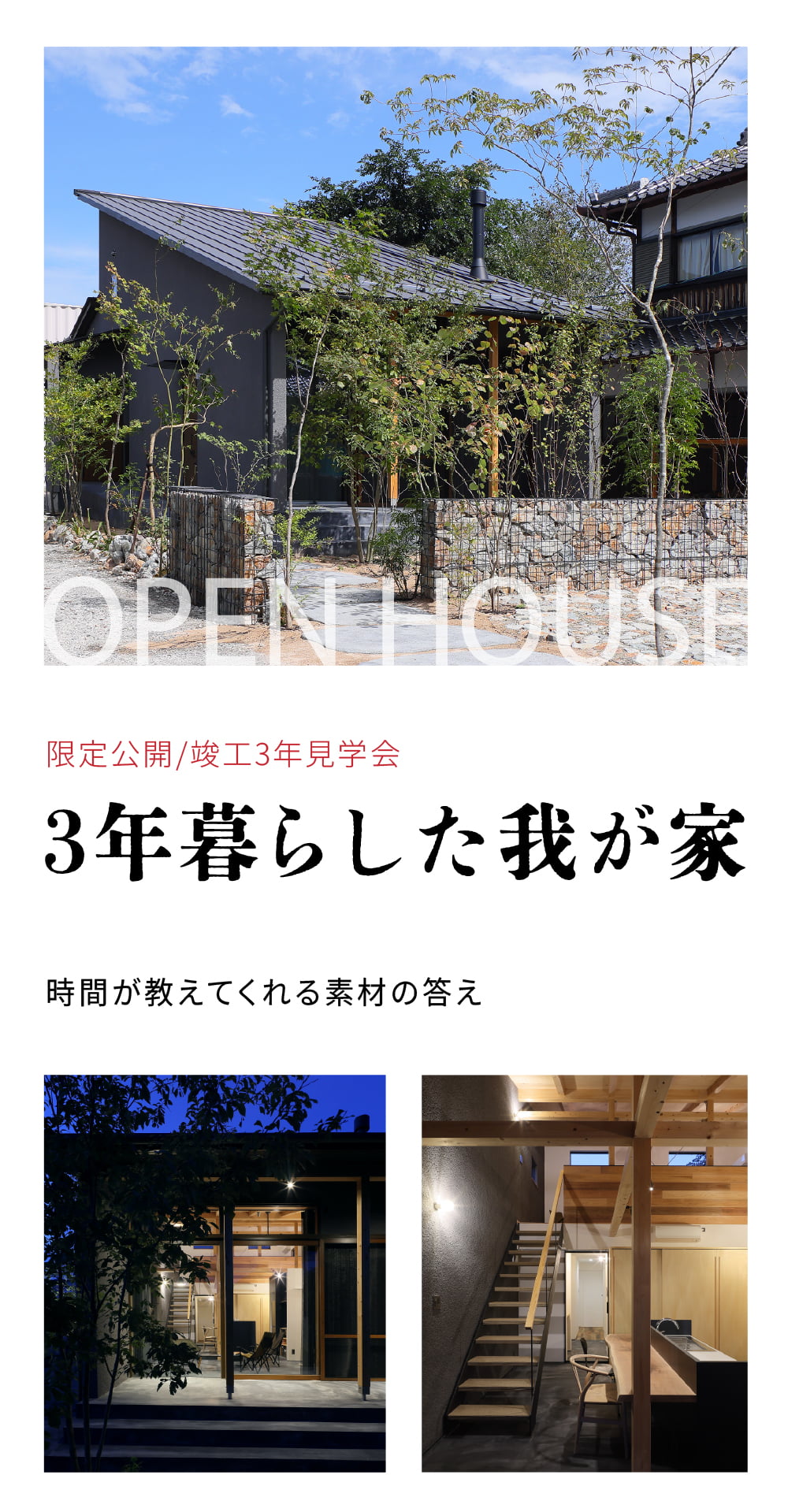 domaliv-2025-02-fv-sp-comp